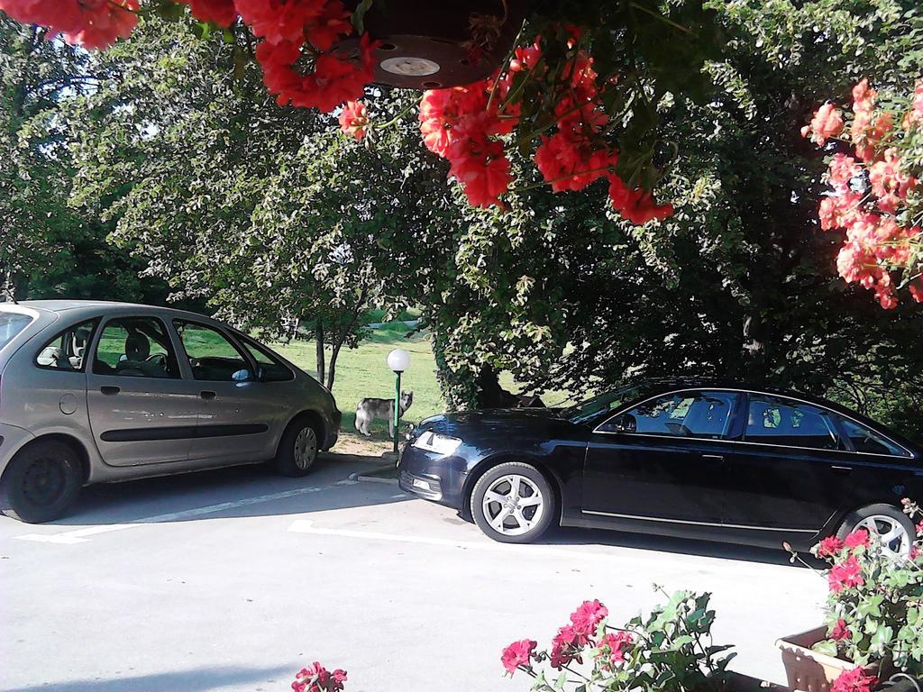 Apartman & Sobe Orhideja Smoljanac Quarto foto